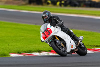 Lower Group White Bikes